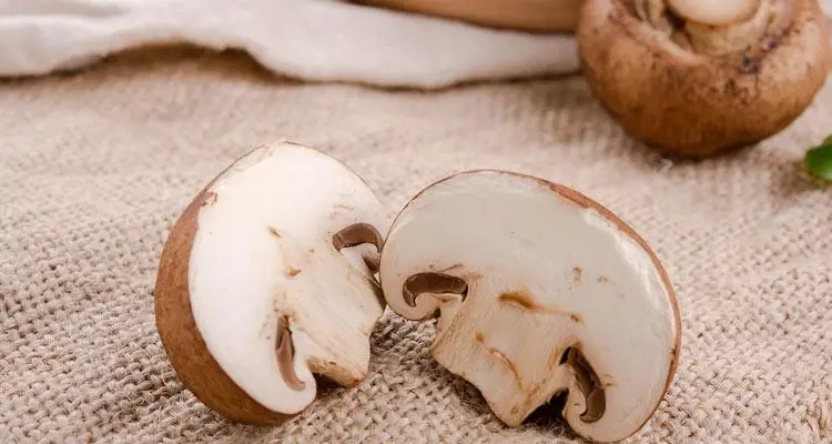 Agaricus Bisporus нунтаг.jpg
