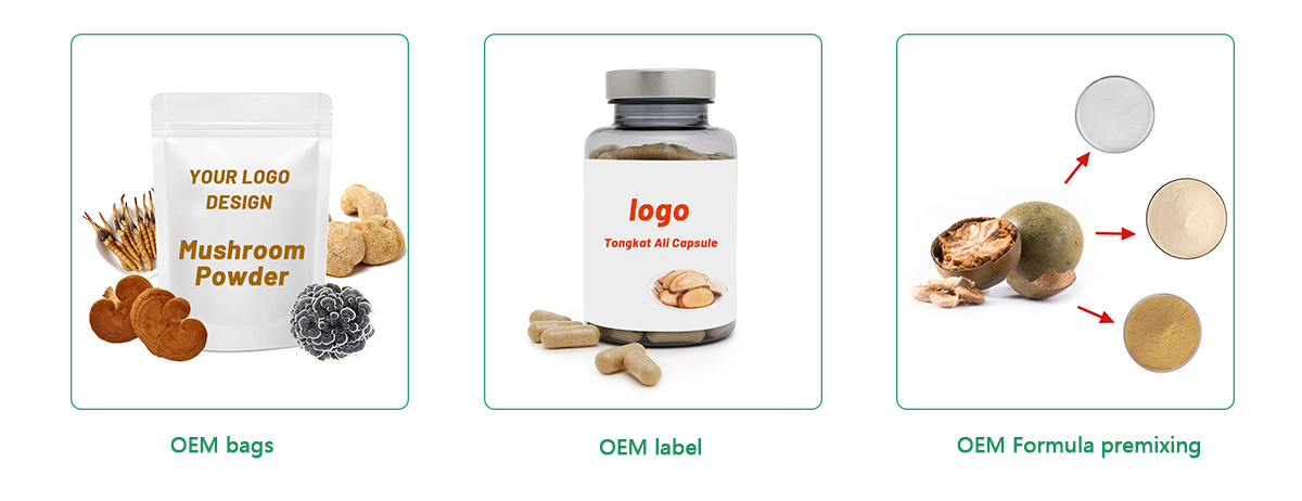 Grifola frondosa extract supplier Yangge Biotech Grifola frondosa extract supplier Yangge Biotech