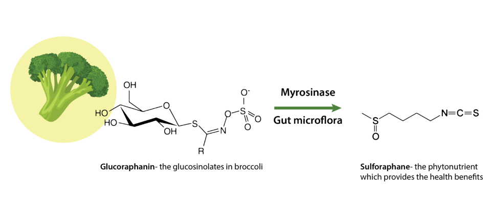 sulfoeaphane.png