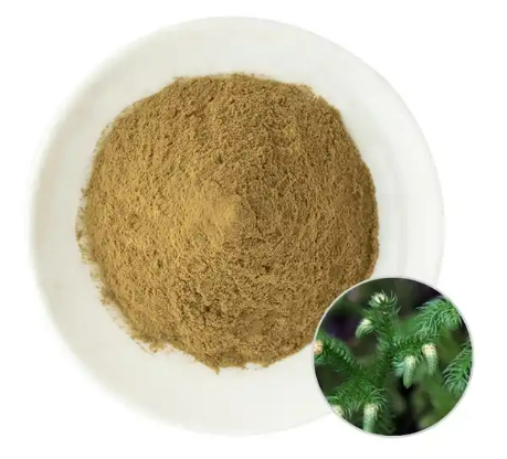 Ekstrakt Lycopodium.png