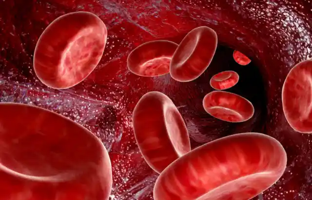 Beïnvloed luteïen bloeddruk.webp