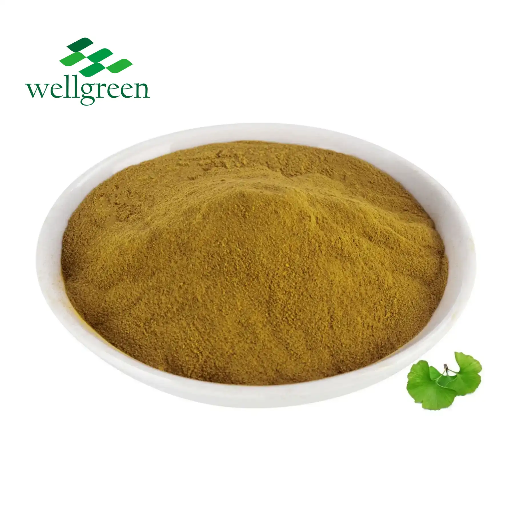 Ekstrakt lista Ginkgo Biloba.webp