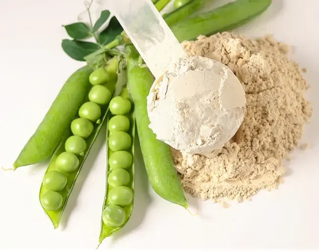 Kako odabrati prah proteina graška.webp