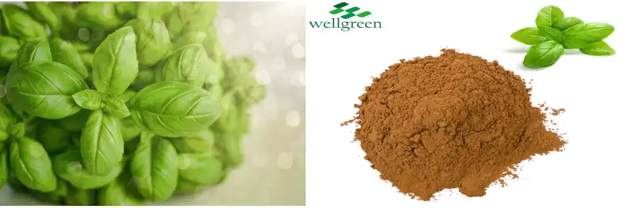 product-887-294 product-887-294