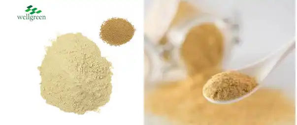 product-603-254 product-603-254