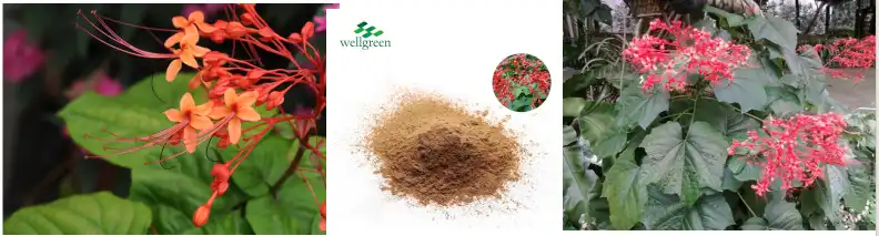 blog-792-213 blog-792-213