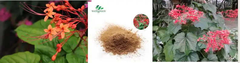 blog-792-210 blog-792-210