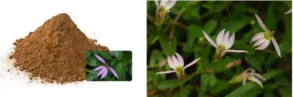 blog-602-199 blog-602-199