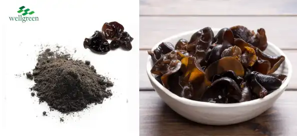 blog-593-272 blog-593-272