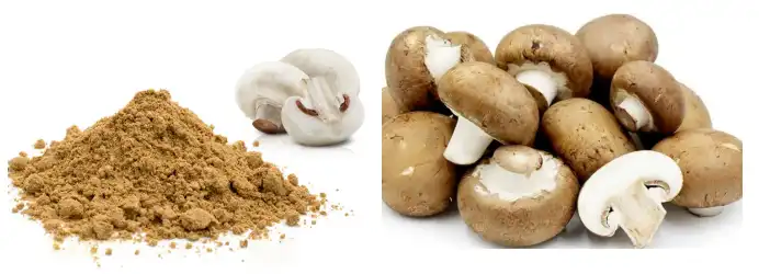 blog-702-250 blog-702-250