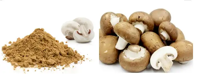 blog-690-259 blog-690-259