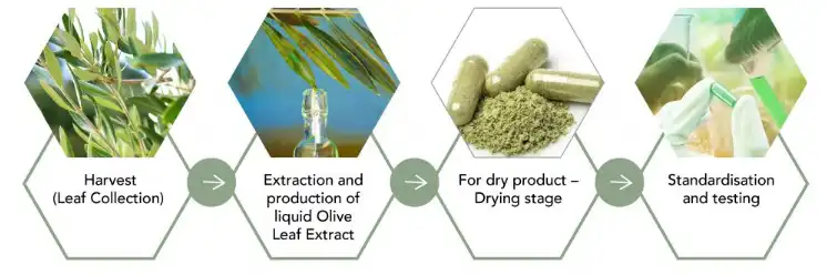 product-746-248 product-746-248