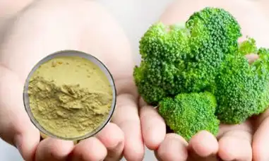 blog-381-228 blog-381-228