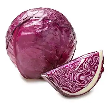 Red Cabbage Color Red Cabbage Color