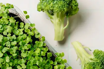 Glukorafanin