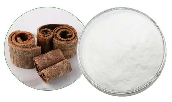 Magnolia extract Magnolia extract