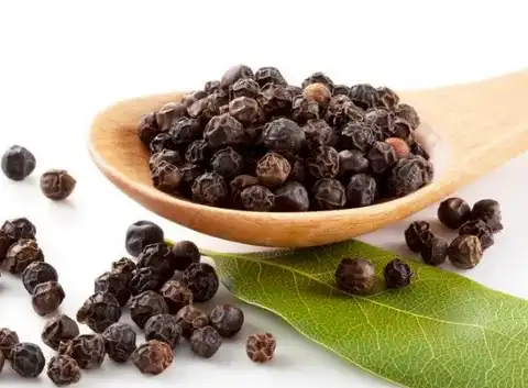 product-480-353 product-480-353