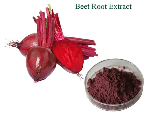 product-492-393 product-492-393