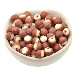 Euryale ferox Euryale ferox