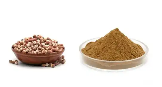 Euryale ferox extract Euryale ferox extract