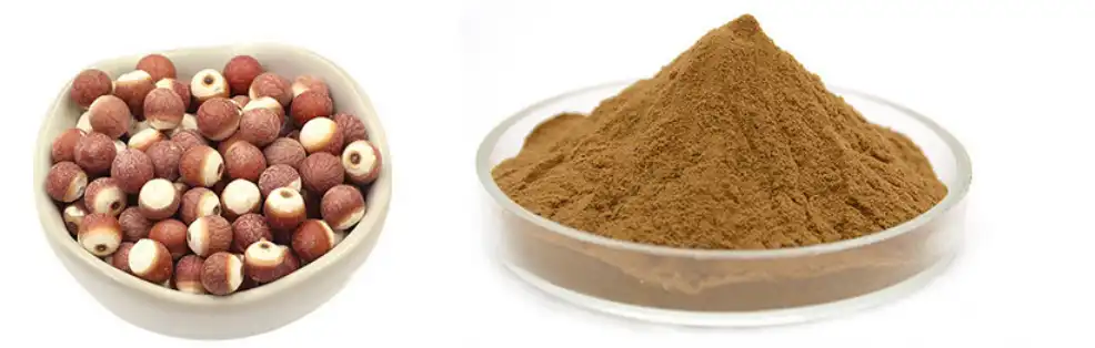 Euryales semen extract Euryales semen extract