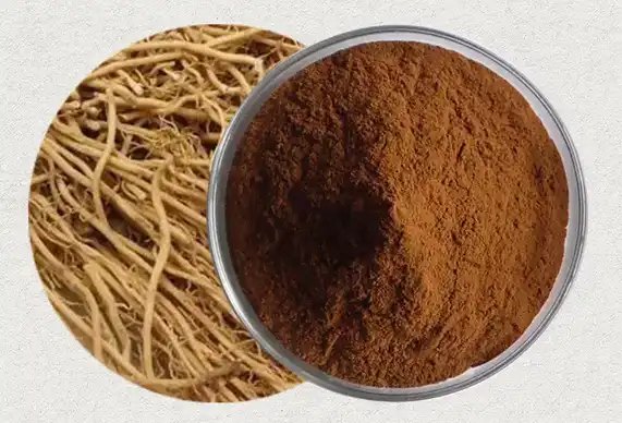 Asarum Sieboldii Extract Asarum Sieboldii Extract