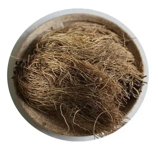 Asarum Sieboldii Asarum Sieboldii