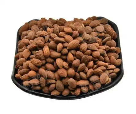 Prunus Japonica Prunus Japonica