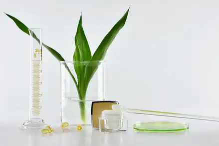 lily extract evidence lily extract evidence