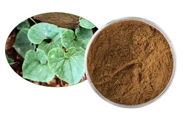Asarum sieboldii extract Asarum sieboldii extract