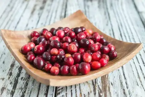 Cranberry Extract Cranberry Extract