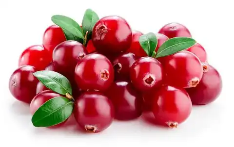 Cranberry Extract Powder Cranberry Extract Powder