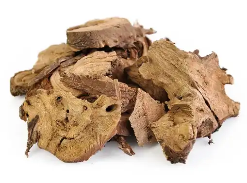 blog-509-377 blog-509-377