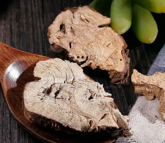 blog-572-495 blog-572-495