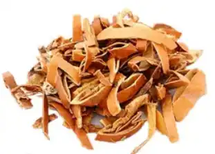 Trichosanthes Kirilowii Trichosanthes Kirilowii