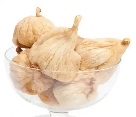 Ficus Pumila Ficus Pumila