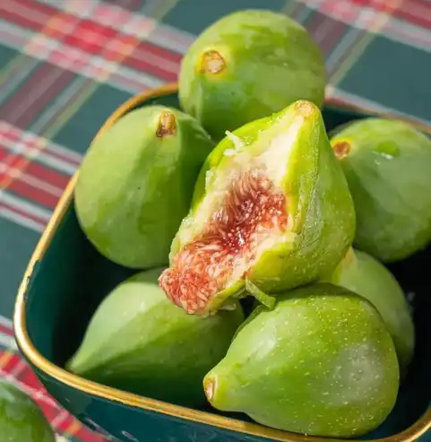 Ficus Pumila powder Ficus Pumila powder