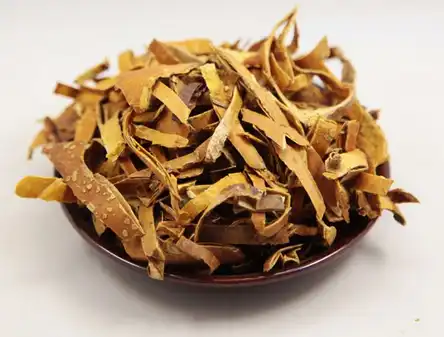 Trichosanthes kirilowii peel Trichosanthes kirilowii peel