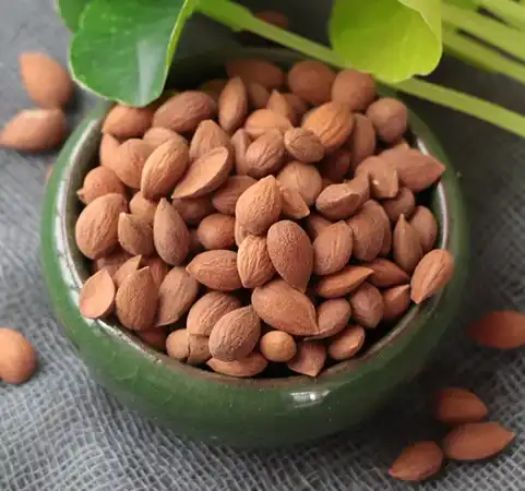 Prunus Japonica seed extract Prunus Japonica seed extract