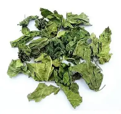 Eucommia ulmoides extract Eucommia ulmoides extract