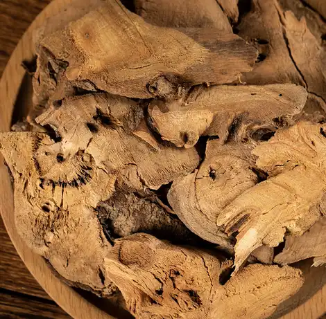 Ramie Root Extract Ramie Root Extract