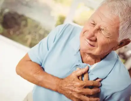 Eucommia leaf Eucommia leaf