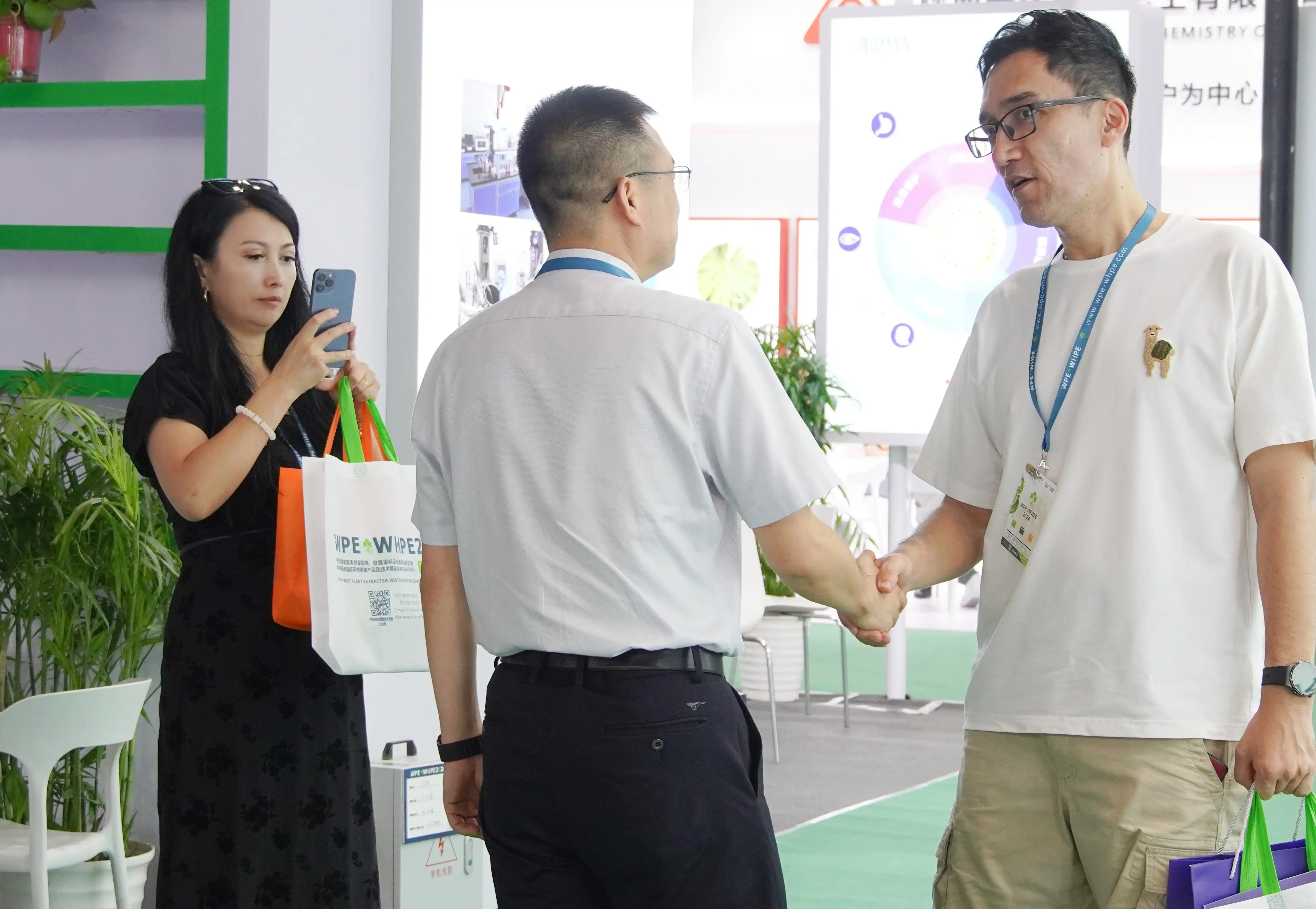 wellgreen exhibitions wellgreen exhibitions