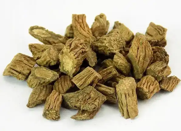 Himalayan Teasel Root Extract Himalayan Teasel Root Extract