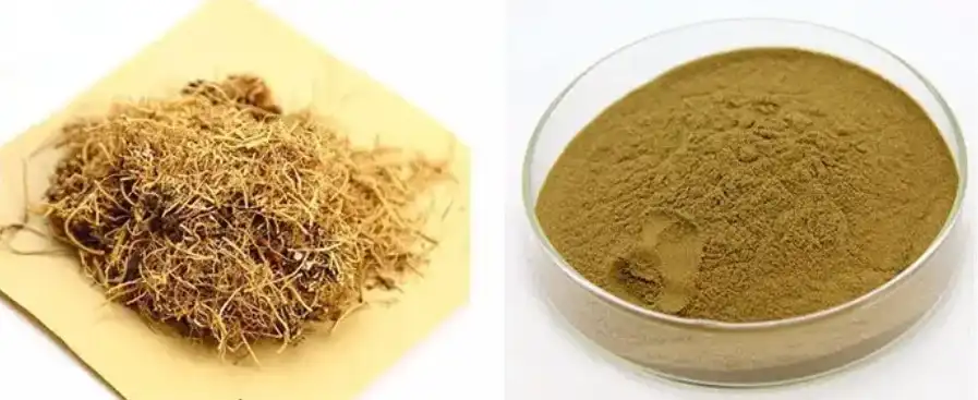 Asarum Sieboldii Extract Asarum Sieboldii Extract