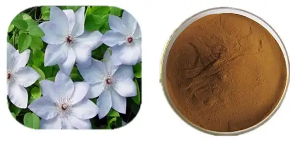 Clematis vitalba leaf extract Clematis vitalba leaf extract