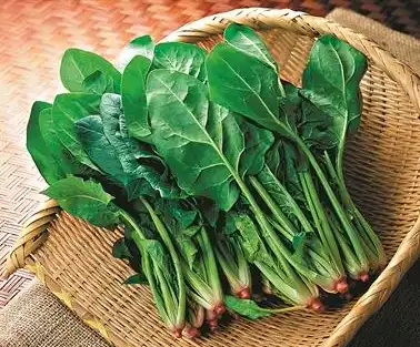 Spinach Powder Spinach Powder