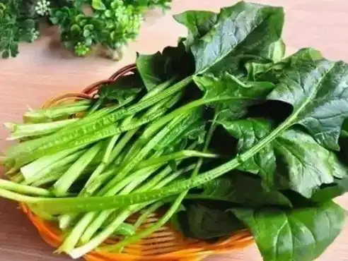 spinach extract spinach extract