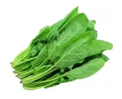 spinach extract powder spinach extract powder