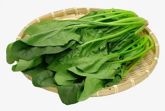 Spinach Extract Powder Spinach Extract Powder